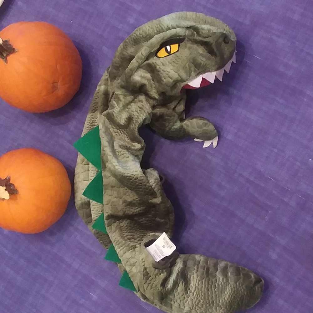 Dinosaur Pet Costume
